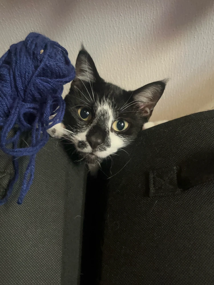 Image uploaded by Callie