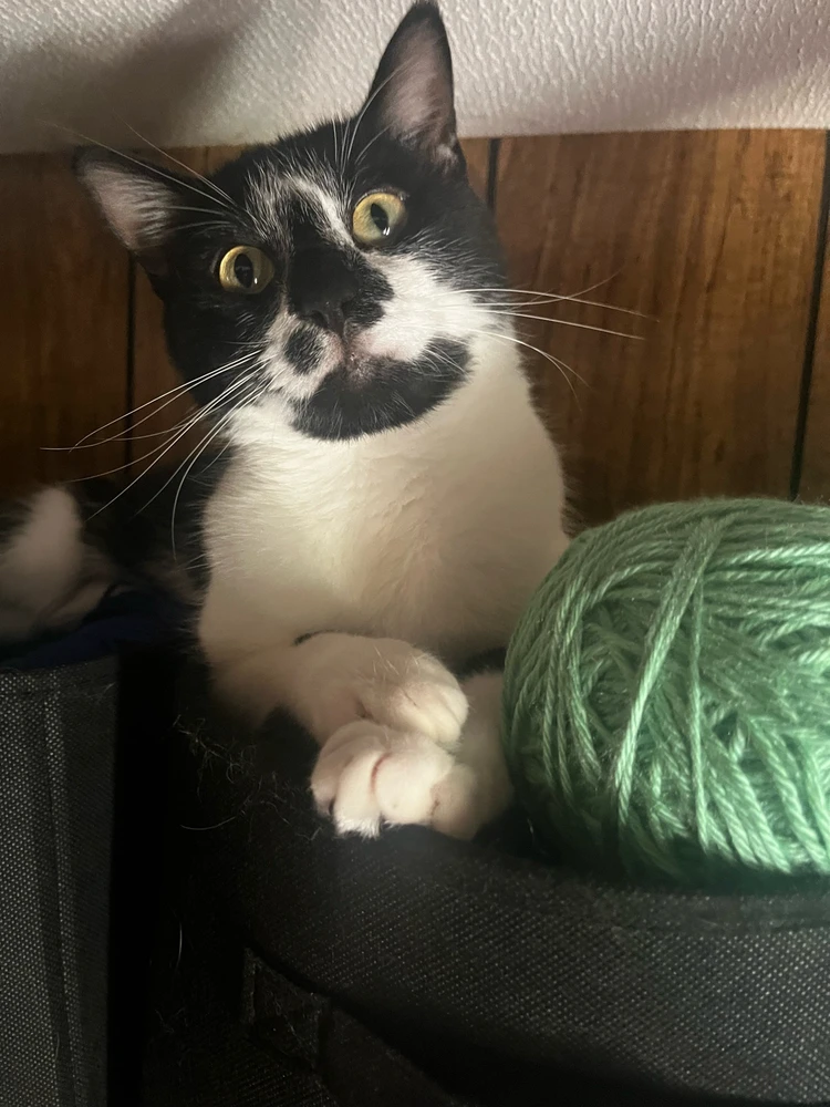 Image uploaded by Callie