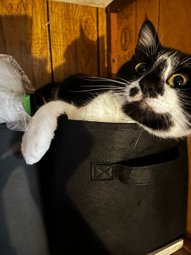 Image uploaded by Callie