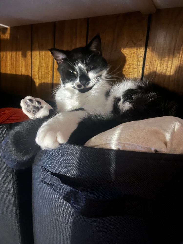 Image uploaded by Callie