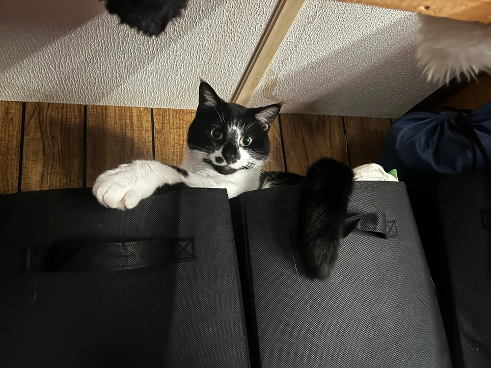 Image uploaded by Callie