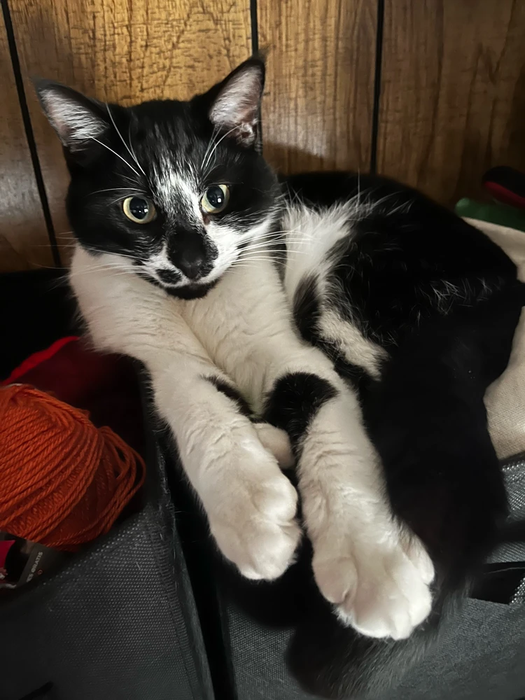 Image uploaded by Callie