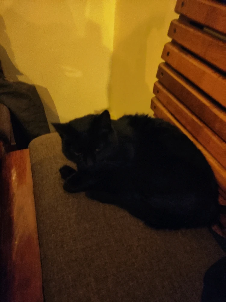 GIF uploaded by Jurica