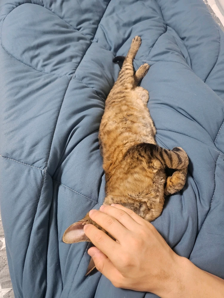 일개미님이 올린 사진