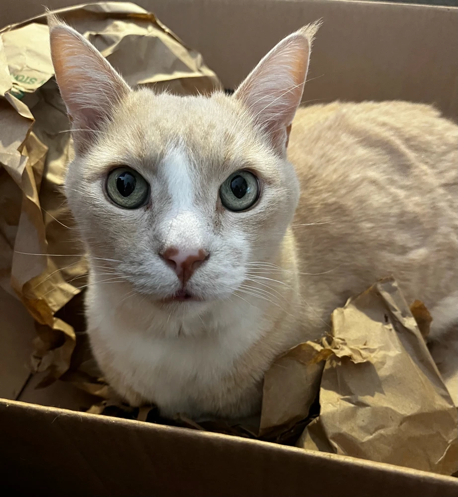 Image uploaded by Callie