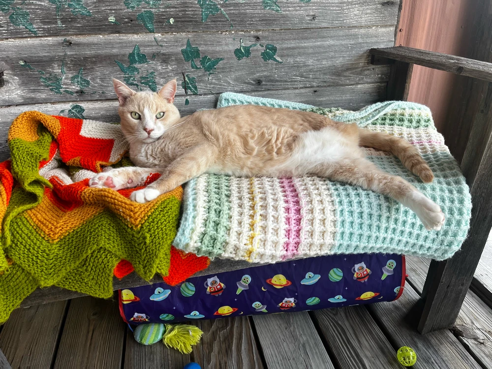 Image uploaded by Callie