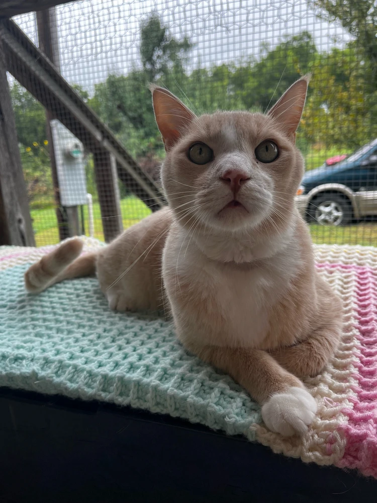 Image uploaded by Callie