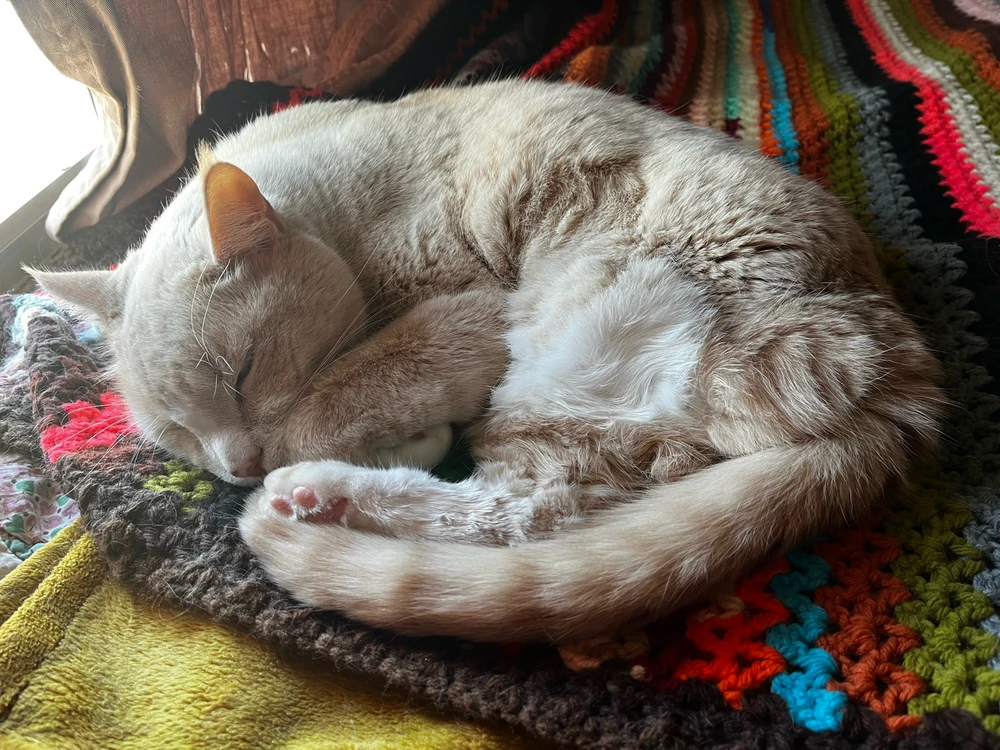 Image uploaded by Callie