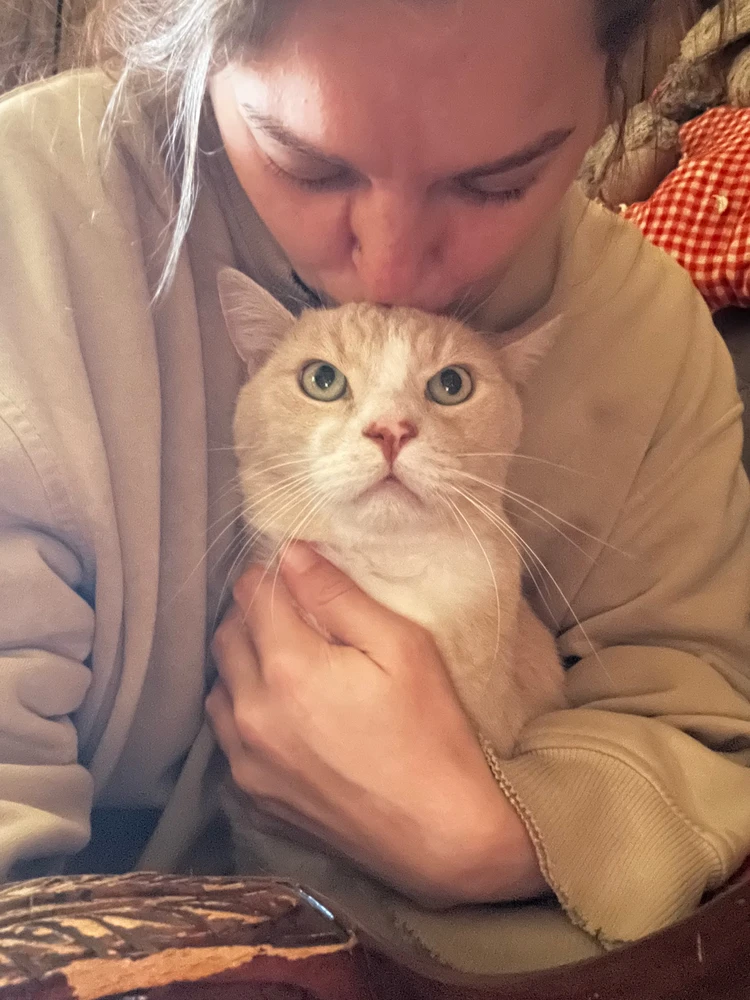 Image uploaded by Callie