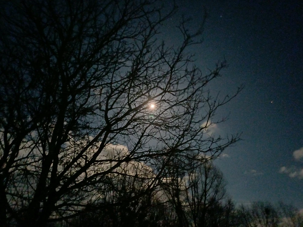 Zdjęcie dodane przez Arek