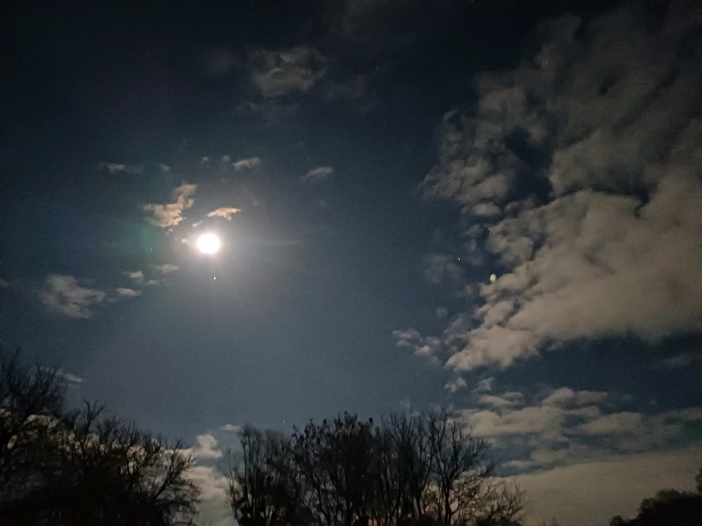 Zdjęcie dodane przez Arek