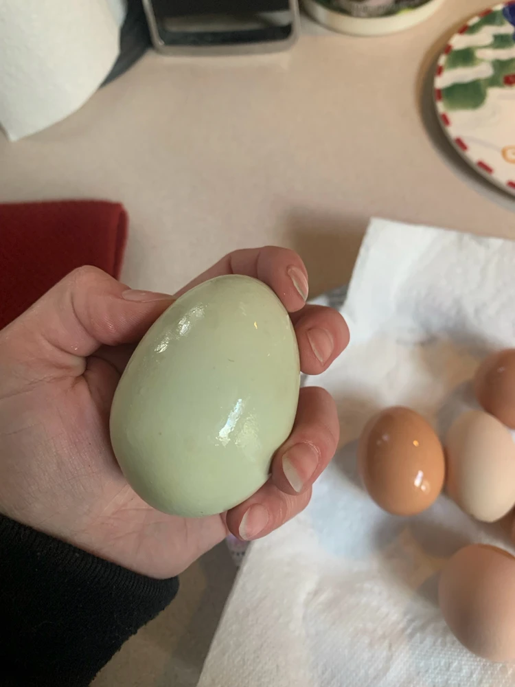 Image uploaded by Rain