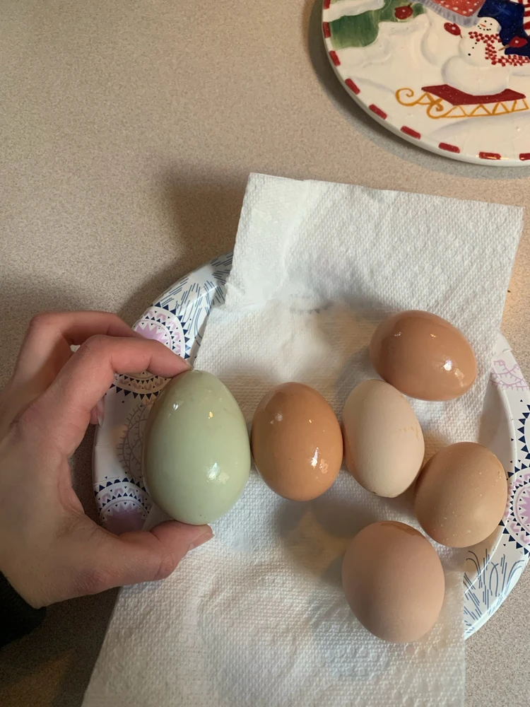 Image uploaded by Rain