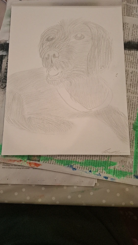 Bild hochgeladen von Elli