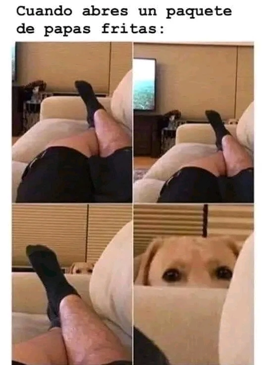 GIF subido por William