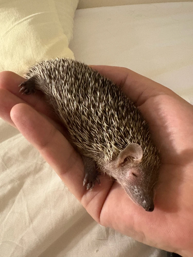 GIF uploaded by Alex