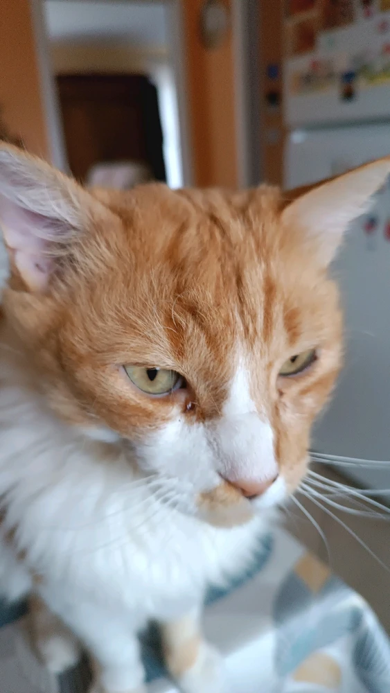 GIF ajouté par Dimitri