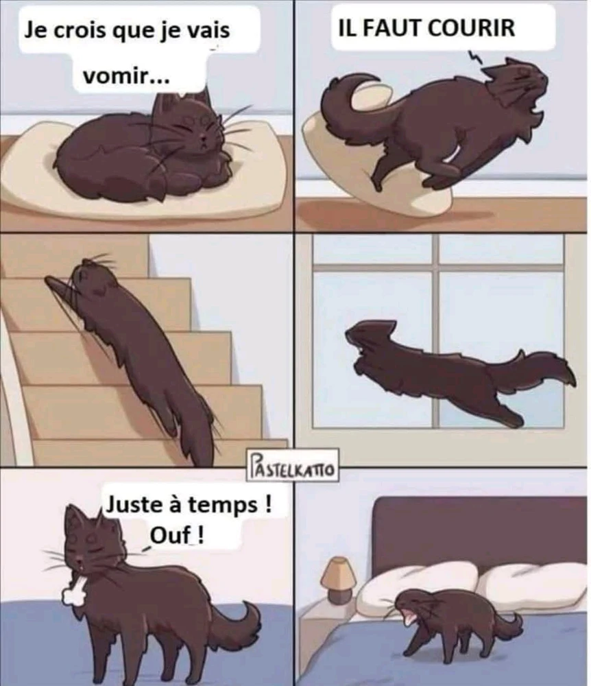 GIF ajouté par Dimitri