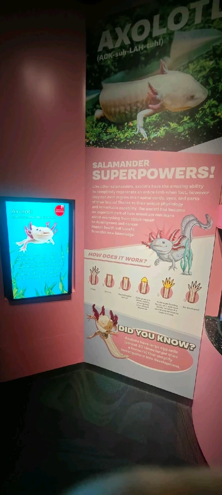 Imagen subida por Mane