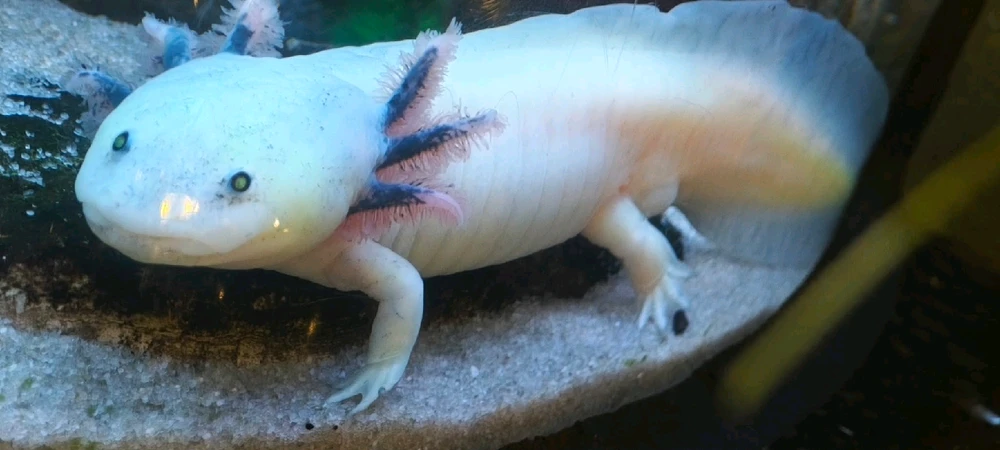 Imagen subida por Mane