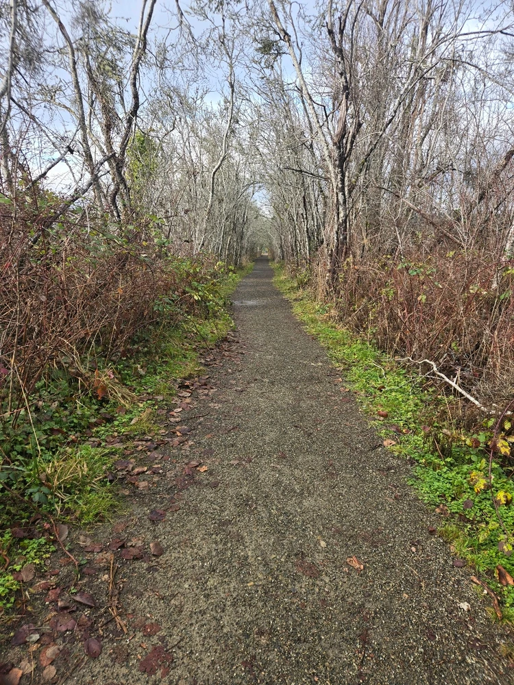 Image uploaded by Wes