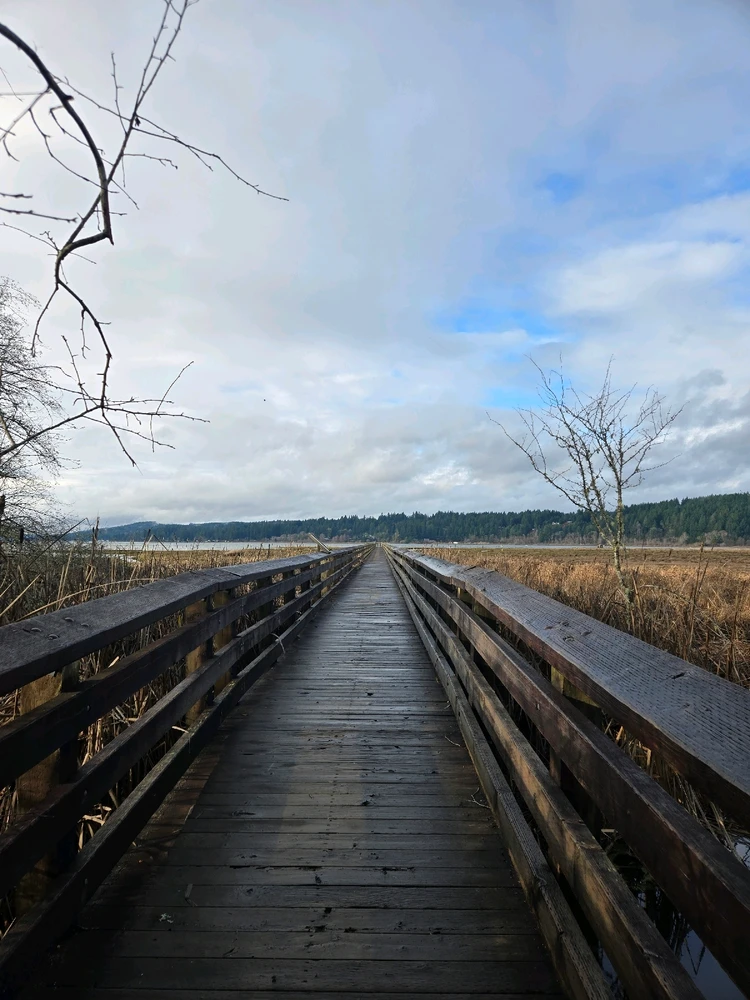 Image uploaded by Wes