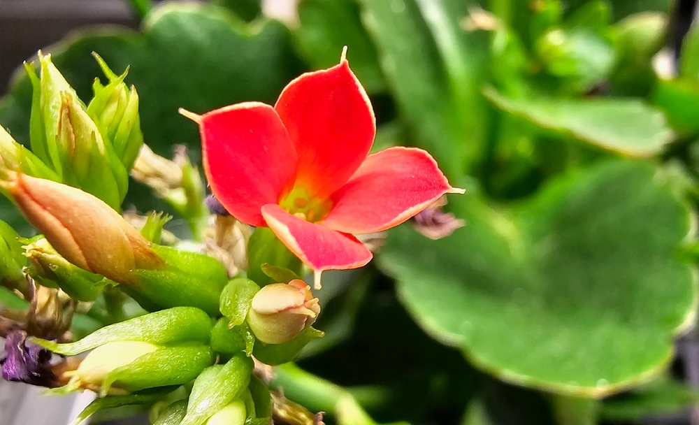 GIF uploaded by Robin