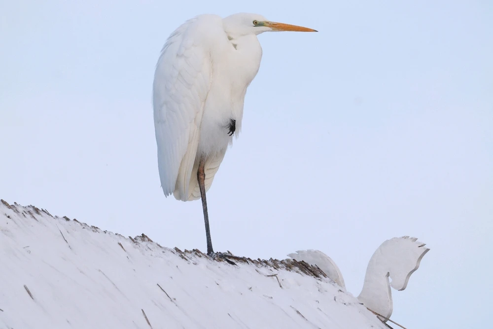 Bild hochgeladen von Jessi