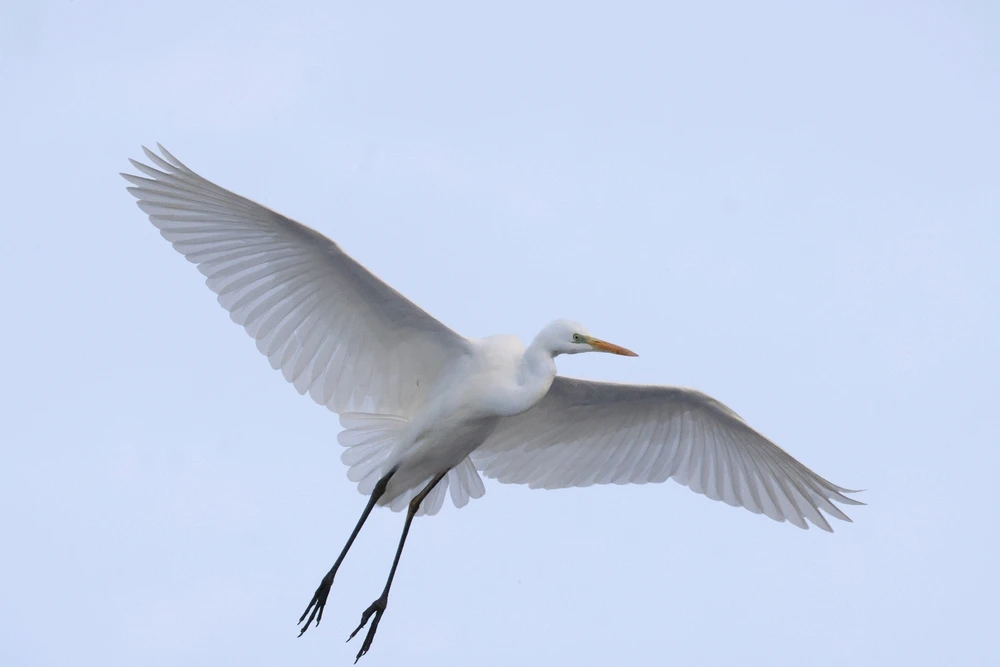 Bild hochgeladen von Jessi