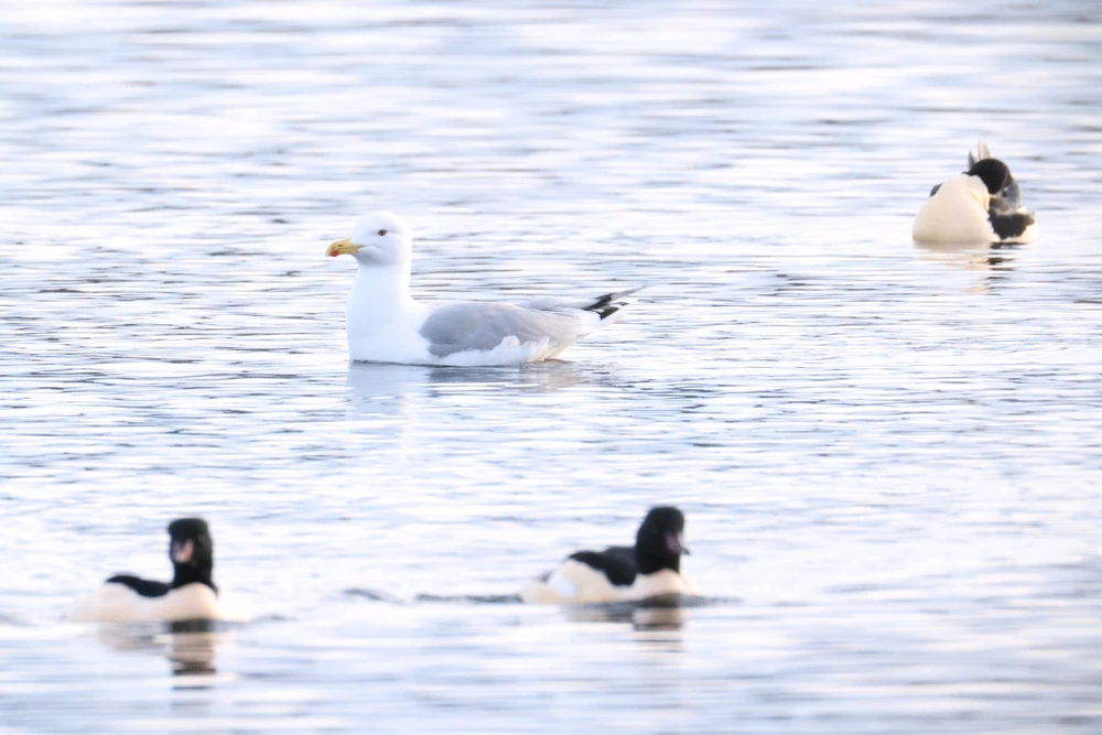 Bild hochgeladen von Jessi