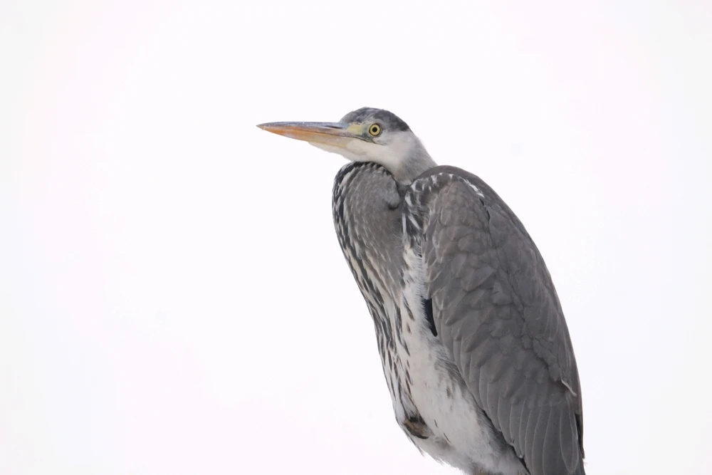 Bild hochgeladen von Jessi