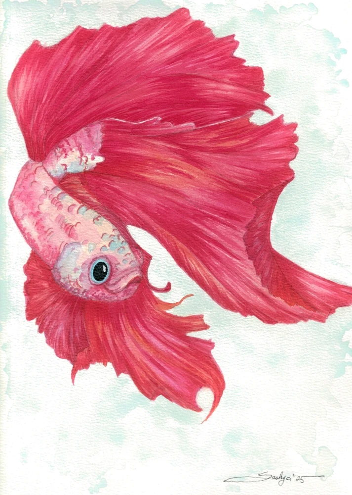 Image uploaded by Saskya