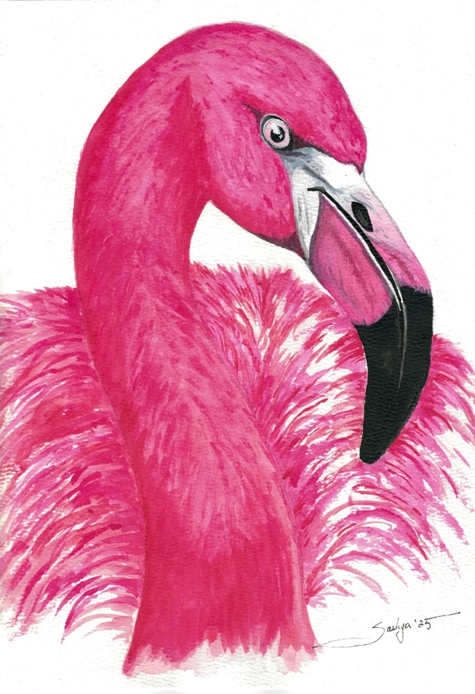 Image uploaded by Saskya