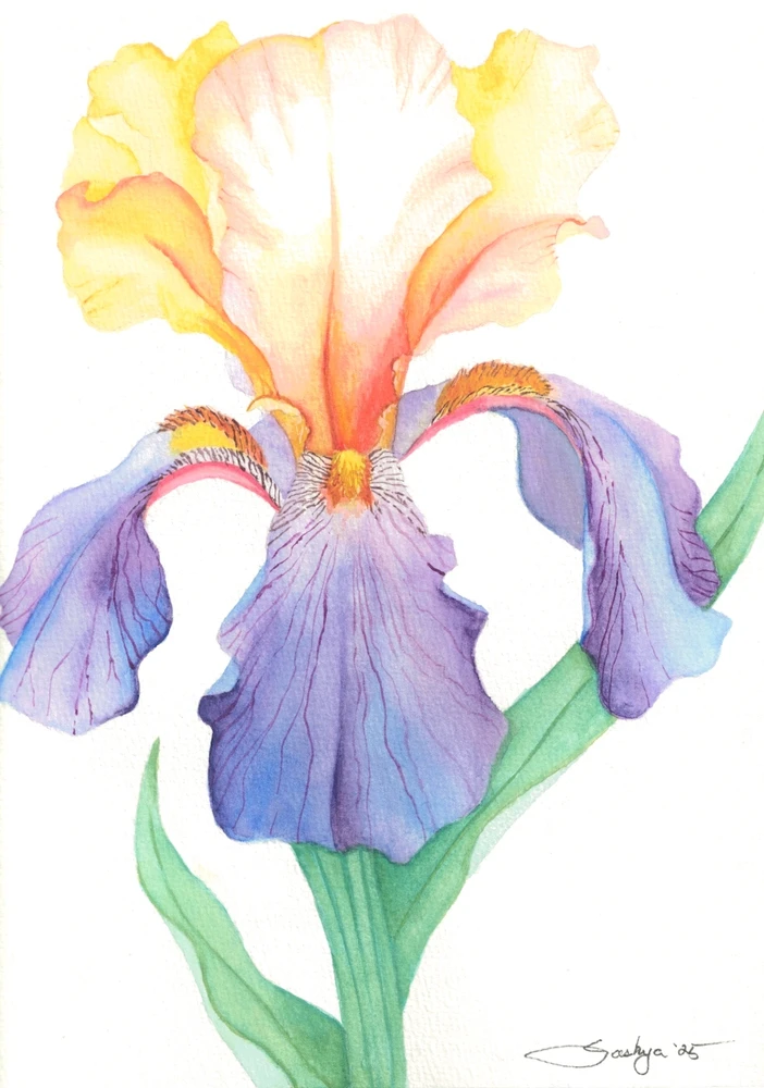 Image uploaded by Saskya