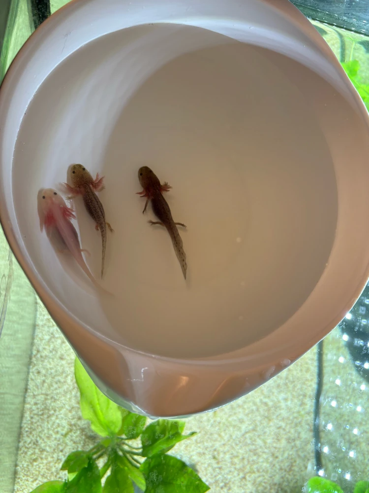 Bild hochgeladen von Timo