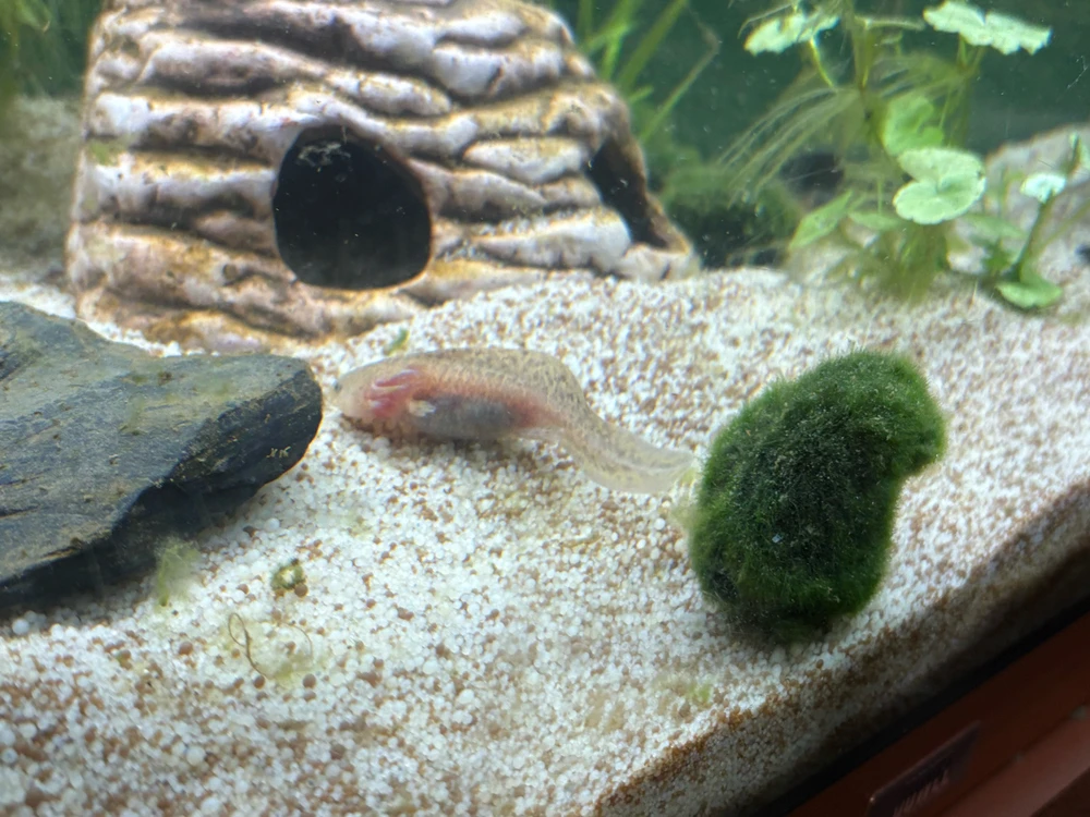 Bild hochgeladen von Timo