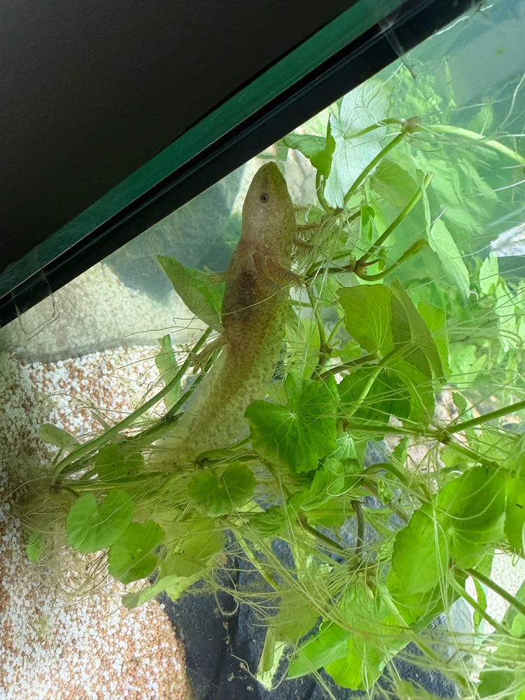 Bild hochgeladen von Timo