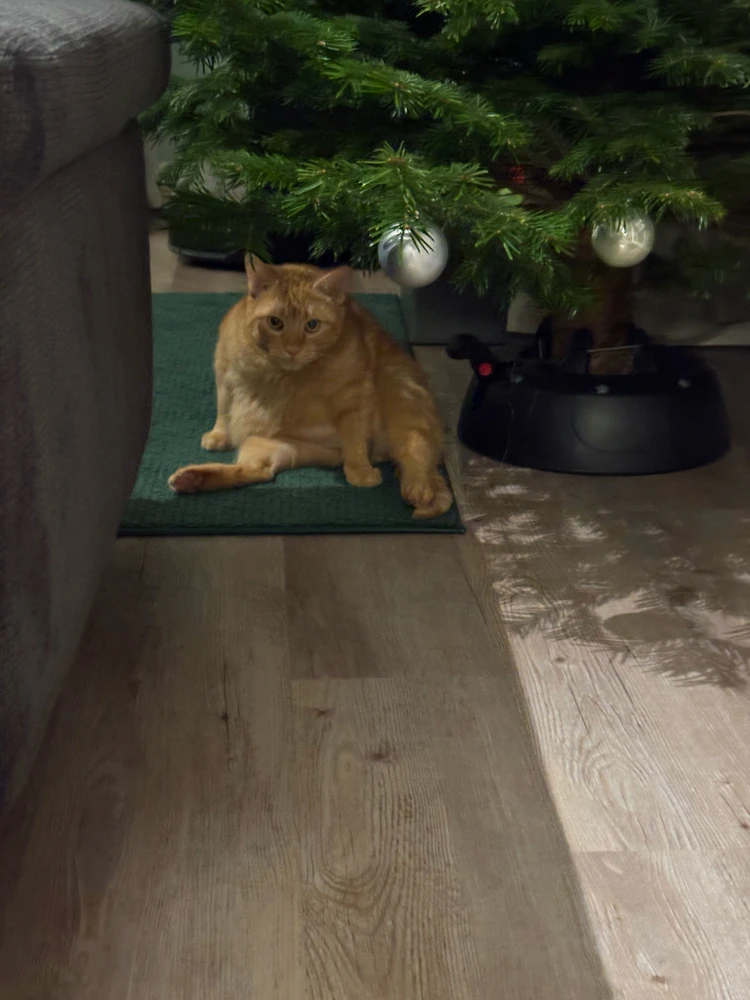 Bild hochgeladen von Timo