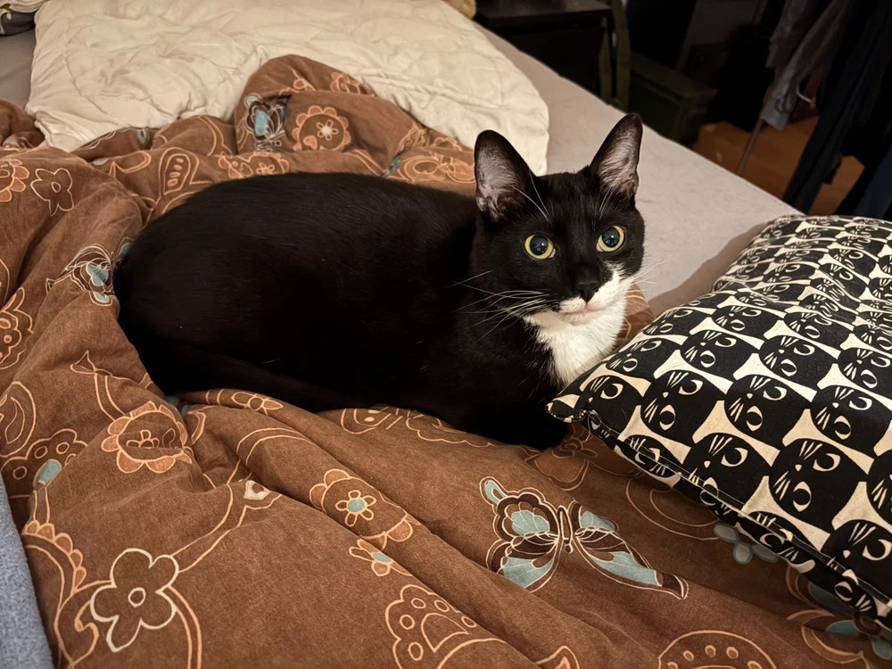 Bild hochgeladen von Timo