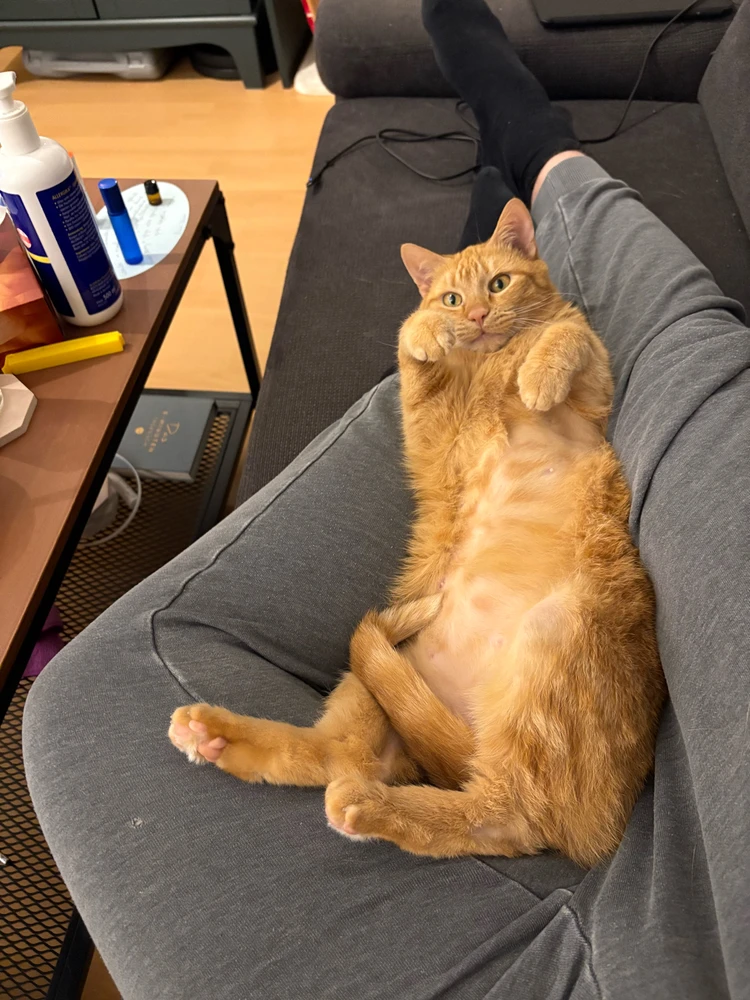 Bild hochgeladen von Timo