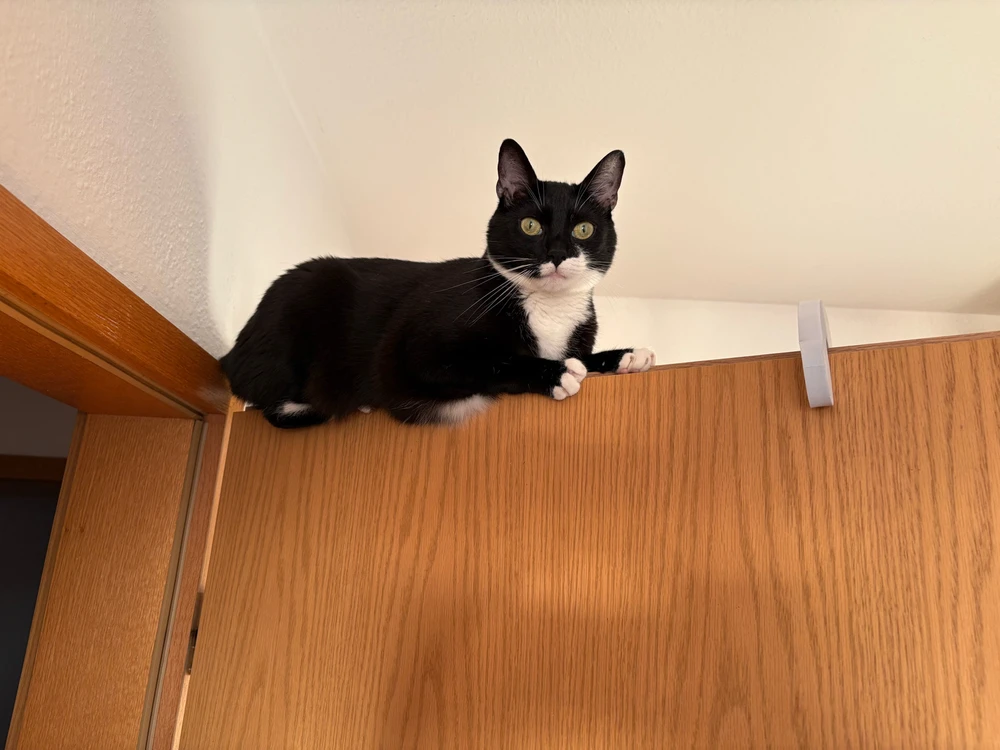 Bild hochgeladen von Timo