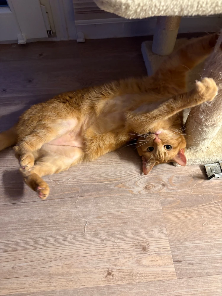 Bild hochgeladen von Timo