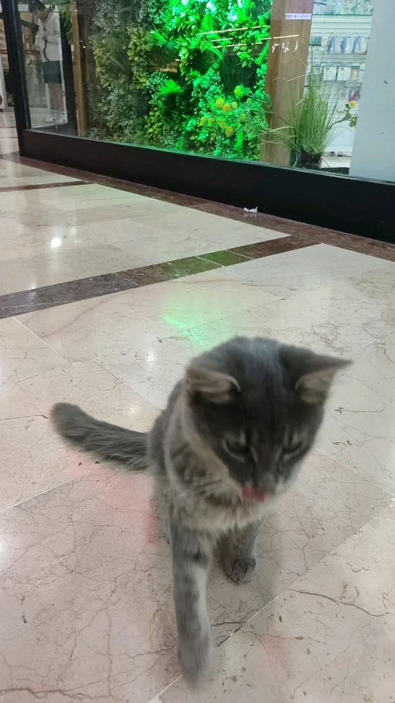 Ezra tarafından yüklenen görsel