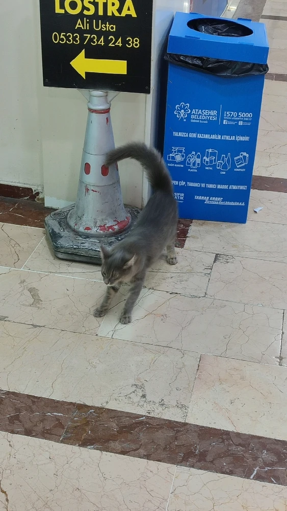 Ezra tarafından yüklenen görsel