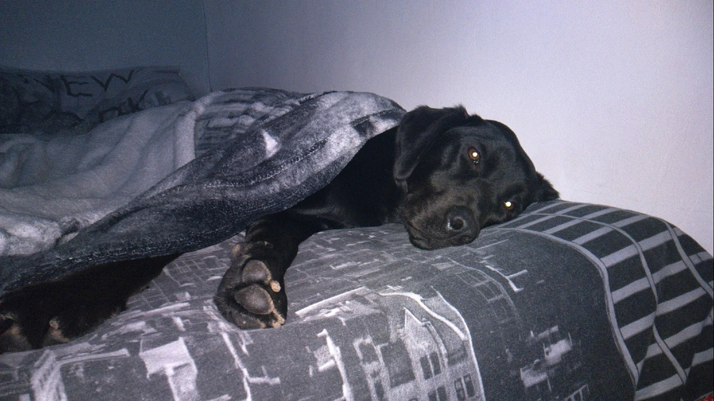 Image uploaded by Stuart