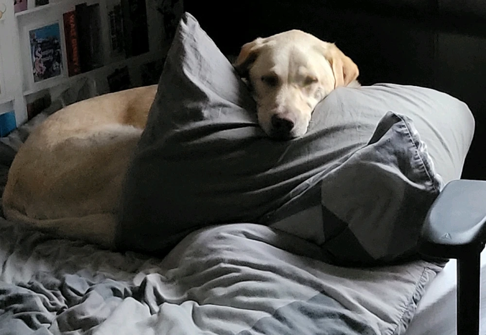 Image uploaded by Stuart