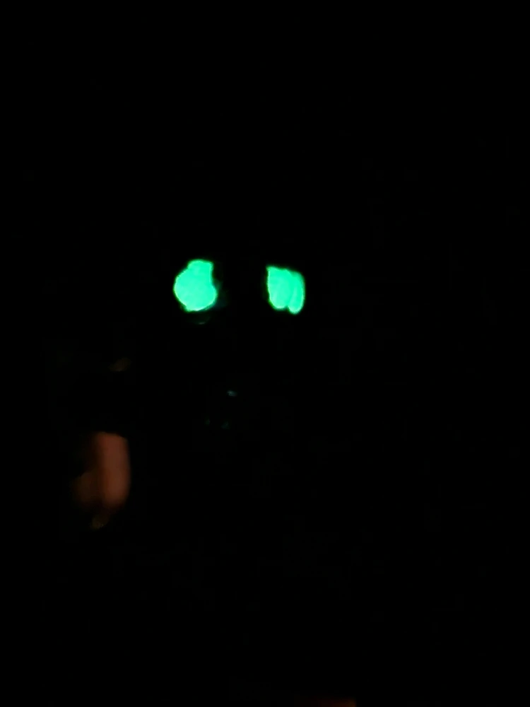 Image uploaded by Jess