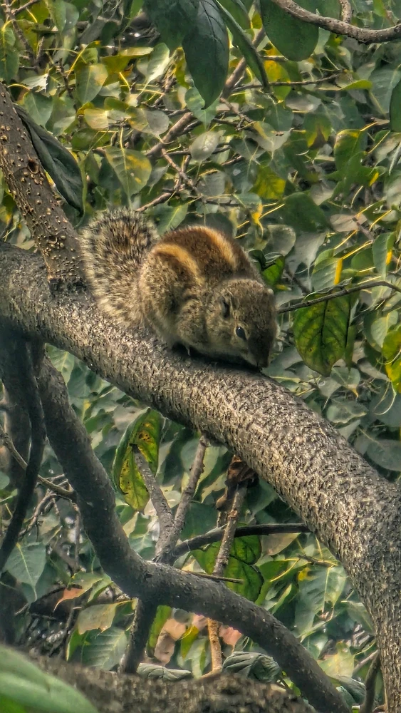 GIF uploaded by Shreyas