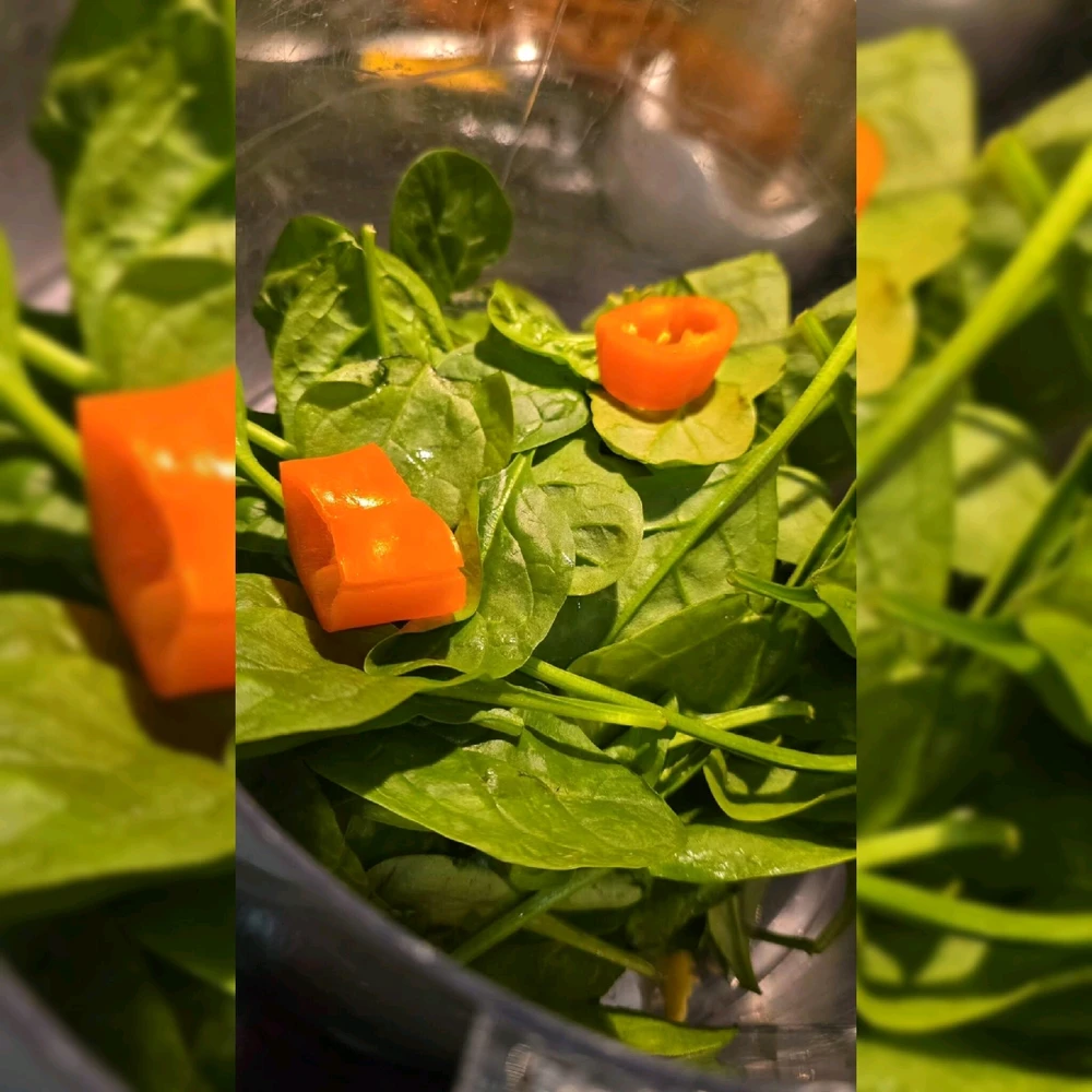 Image uploaded by Tarik