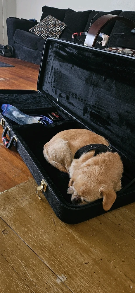 Image uploaded by James